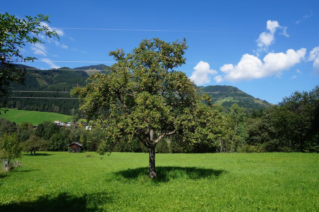 Schmiedhaeusl Villa Fusch an der Glocknerstraße Buitenkant foto